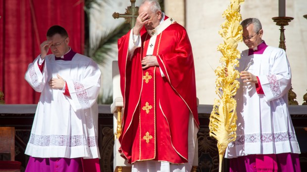 POPE-FRANCIS-PALM-SUNDAY-ANTOINE-MEKARY-ALETEIA-AM_5234.jpg