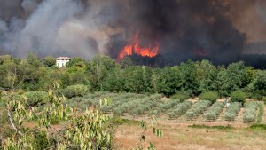 INCENDIE-FRANCE-shutterstock_2184801047.jpg