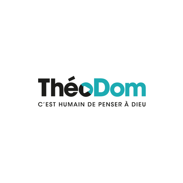 Theodom-Logo-Fond-blanc.png