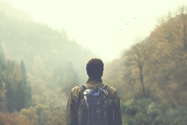 foret-shutterstock_522743866.