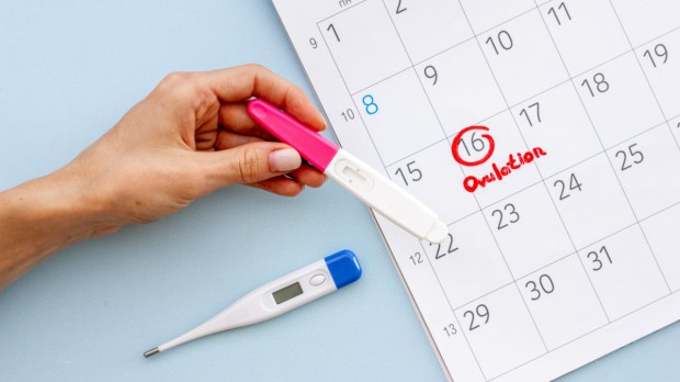 Ovulation