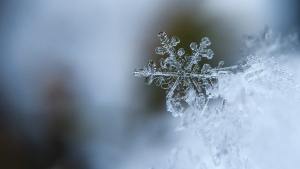 aaron-burden-snowflake-frost-crystal-unsplash