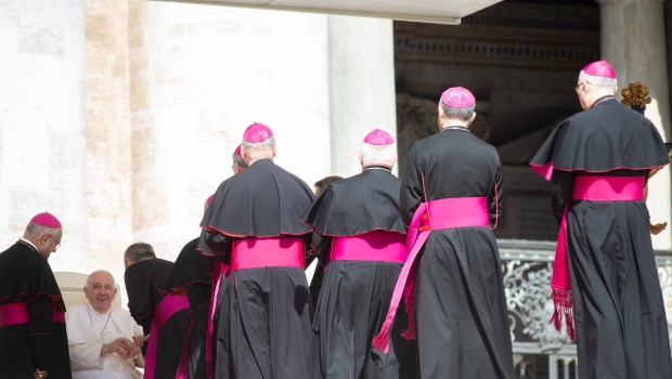 Pope Francis meets with bishops at the end of his audience
