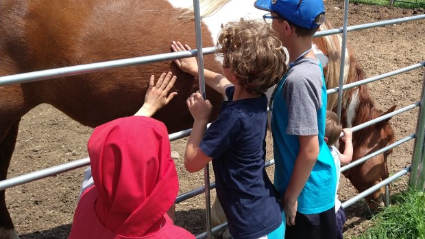 Sister-with-children-and-horse