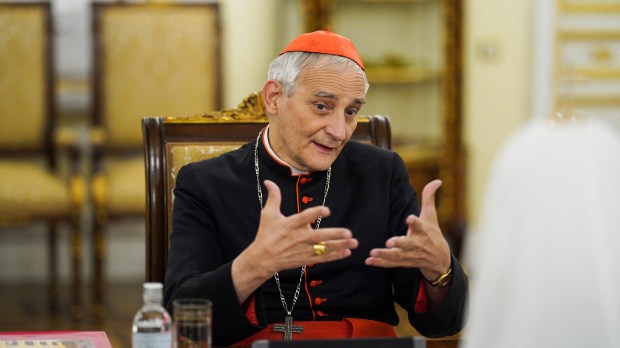 Cardinal Zuppi.
