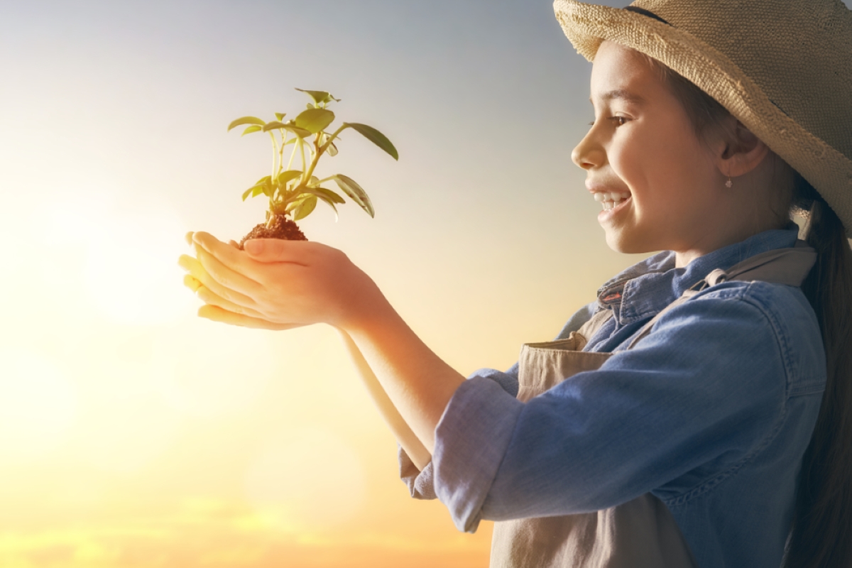 Cute little child girl with seedlings on sunset background. Fun little gardener. Spring concept, nature and care