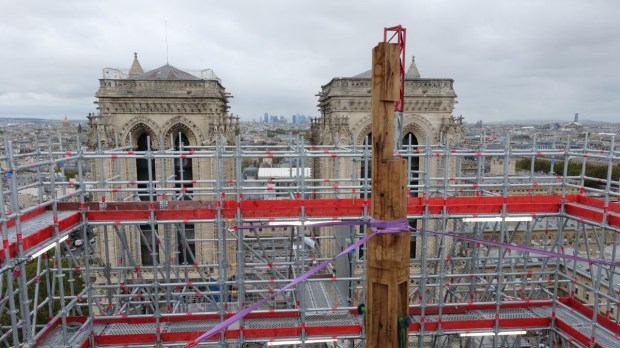 Notre Dame de Paris, chantier, patrimoine, restauration, flèche