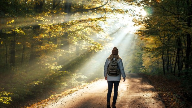 forêt, marche, randonnée, lumière, espérance, chemin, route, itinéraire