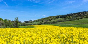 Au printemps, il n’est plus temps de vivre dans l’obsession du péché