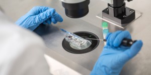 Ces enfants conçus directement en laboratoire