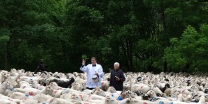 “Seigneur, bénissez nos troupeaux !”