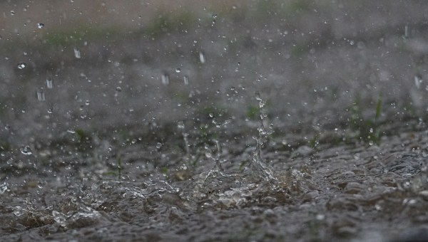 Corner Item Image - La plus belle pluie de Pellevoisin